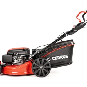 Cedrus KS53SV-E